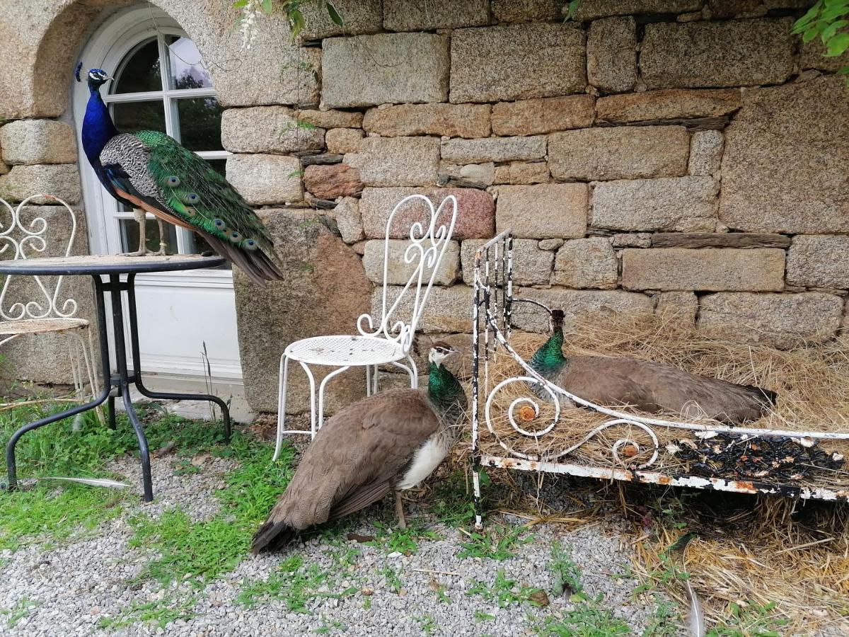 Frairie Du Divit * Pontivy